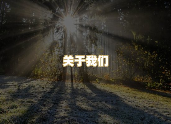 关于我们
